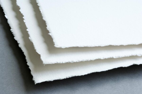 Getrocknete Blume mit gebogenen Stängeln vor unscharfem Hintergrund, darunter Text zu Museum Etching Baumwollpapier