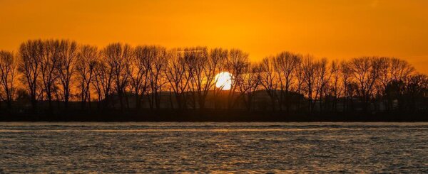 Sonnenuntergang hinter kahlen Bäumen am Ufer eines Gewässers