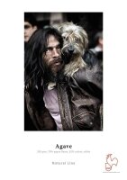 Person trägt kleinen, langhaarigen Hund auf...