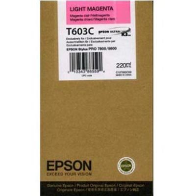 Originale Epson Tintenpatrone in originaler brauner Verpackung
