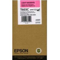 Originale Epson Tintenpatrone in originaler brauner...