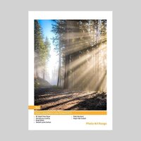 Ein Kunstdruck zeigt Sonnenstrahlen, die durch die...