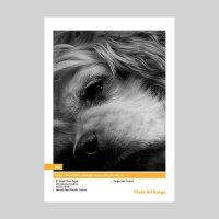 Ein Bild auf dem Produkt gedruckt, Ein schlafender Hund...