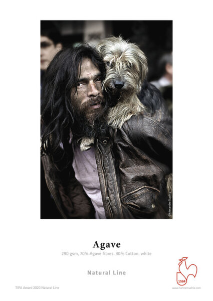 Person trägt kleinen, langhaarigen Hund auf Schulter, trägt braune Lederjacke und weißes T-Shirt