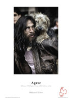 Person trägt kleinen, langhaarigen Hund auf...